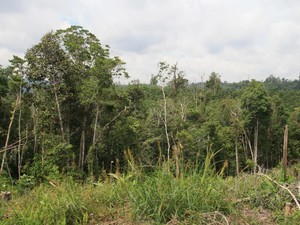 Kawasan Lindung Taman Raja