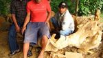 Kayu Jati Penghasil Wirausahawan Sejati