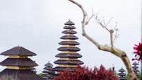 Meru dari kejauhan