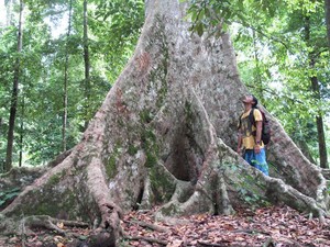 Keindahan Agrowisata Pulau Banda