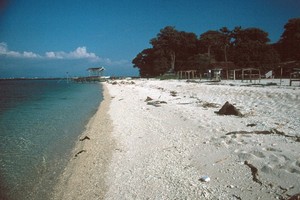 Keindahan Bawah Laut Samalona