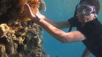 Foto bersama nemo yang unyu-unyu di laut Karimunjawa