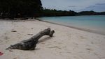 Keindahan Tiada Dua di Pantai Gapang, Sabang