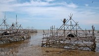 Pondokan bambu para nelayan di pinggir pantai
