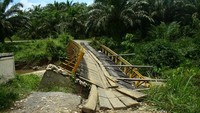 Jembatan yang putus menuju PLG Seblat