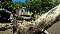 Sebuah rumah di Pulau Puriri, milik seorang Bugis.