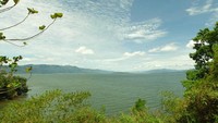 Tanjung Hatta, Danau Kerinci, terdapat pohon beringin yang ditanam oleh Bung Hatta