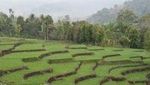 Kelimutu Danau Tiga Warna