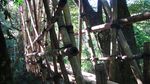 Keluar Cibeo (Baduy Dalam) Menuju Kaduketuk (Baduy Luar)