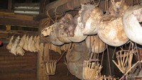 TENGKORAK. Kumpulan tengkorak hasil tradisi Ngayau suku Dayak Iban yang masih tersimpan di sebuah rumah di desa Landau Kodah, kabupaten Sekadau.