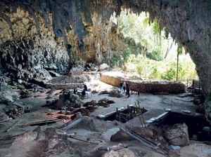 Kepingan Fakta di Liang Bua