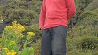 Kerici