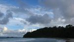 Konservasi Penyu di Pulau Bangkaru