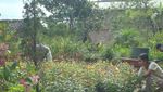 Kopeng, Taman di Atas Bukit