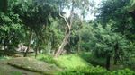 Kopeng, Taman di Atas Bukit