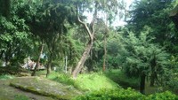 Taman kopeng untuk bersantai