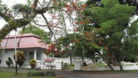 Jalan di Kota Neira