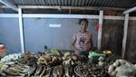 Kuliner Tradisional Kei