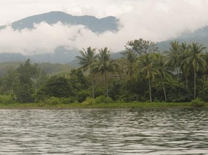 Latar Belakang Megah Teluk Kayeli