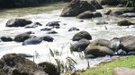 Liburan Asik Mengarungi Sungai Citarik - Sukabumi