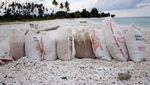 Lima Puluh Ribu Rupiah Untuk 20 Karung Kerang Pantai