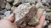 Batu apung untuk dijual.