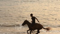 Pemuda setempat berlatih kuda di pantai Sengigi