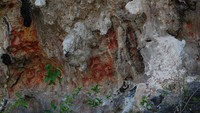 Lukisan telapak tangan di dinding batu karang. Lukisan semacam ini juga dijumpai di Kaimana dan Raja Ampat.