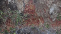 Bukan hanya bentuk telapak tangan, lukisan di dinding batu ini juga berbentuk ikan, matahari dan simbol-simbol lain.
