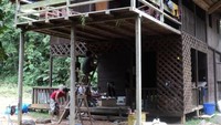 stasiun yang berada di dalam hutan lindung