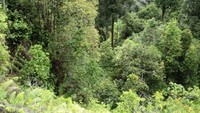 pemandangan dari puncak menara pandang, beautiful!