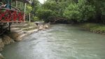 Mandi Bersama di Sandakan