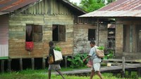 Dua orang wanita Senggo berjalan menuju pasar