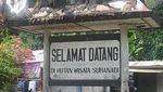 Melihat Kekayaan Taman Wisata Alam Suranadi, Lombok