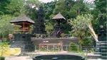 Melihat Kekayaan Taman Wisata Alam Suranadi, Lombok