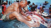Foto Repro Koleksi Museum Negeri Kupang