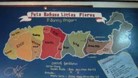 Peta persebaran bahasa di Pulau Flores