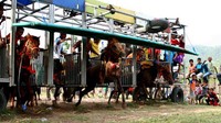 Start box sederhana (HRA)