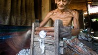 Pemibitan untuk memisahkan kapas dengan bijinya