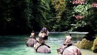 Trekking gajah. foto: istimewa