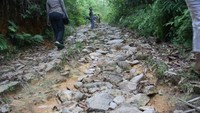 Jalur Terjal Menuju Puncak Bukit Buhis
