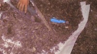 Pupuk hasil olahan sampah organik