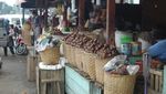 Menelusuri Kota Salak Padang Sidimpuan