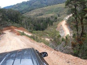 Menembus Tebing dan Kabut Arfak