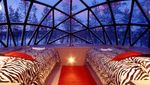 Menengok Desa Igloo di Finlandia