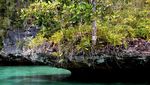 Mengamati Keragaman Hayati Pulau Waigeo
