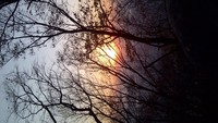 sunset diantara bingkai ranting pohon