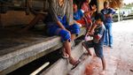 Mengenal Rumah Tradisional Sumba