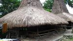 Mengenal Rumah Tradisional Sumba