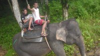 Trekking dengan menggunakan gajah